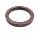 Pressure Oil Seal 55x70x8/8,5 N1T01 FPM [BABSL]